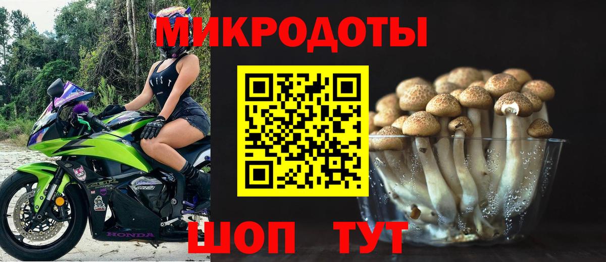 Галлюциногенные грибы Cubensis Комсомольск-на-Амуре