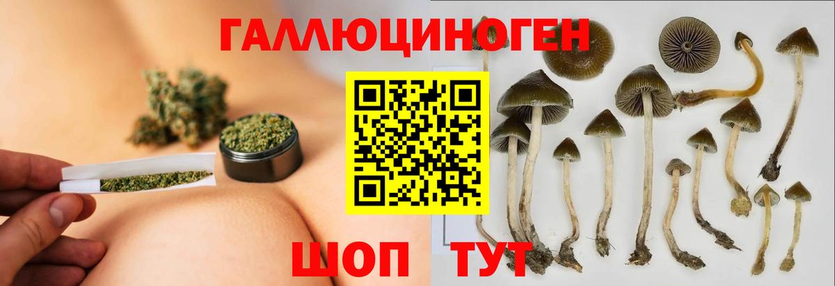 Комсомольск-на-Амуре  Псилоцибиновые грибы мухоморы  где найти наркотики  Вход с VPN  Псилоцибиновые грибы Cubensis 